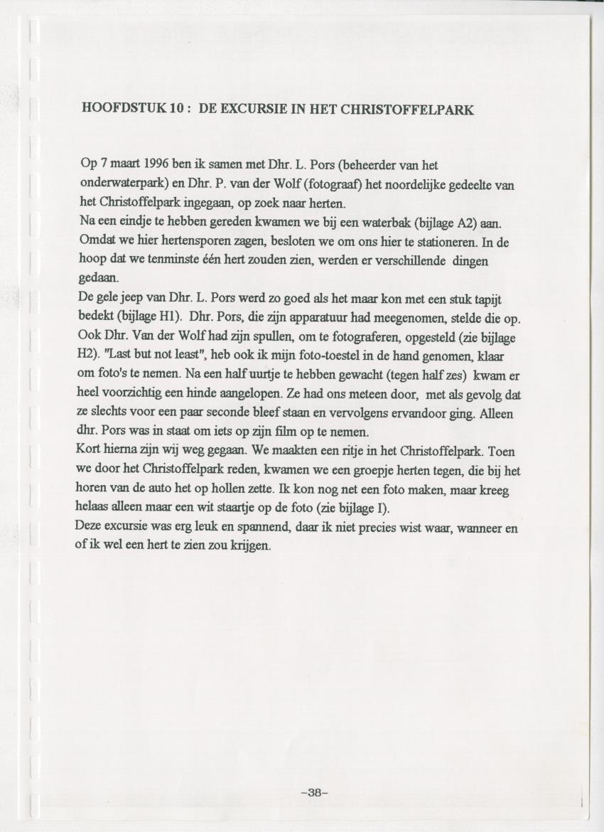 De hoefdieren van Curacao - New Page