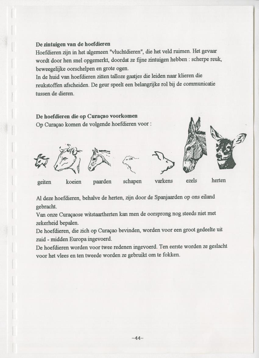 De hoefdieren van Curacao - New Page