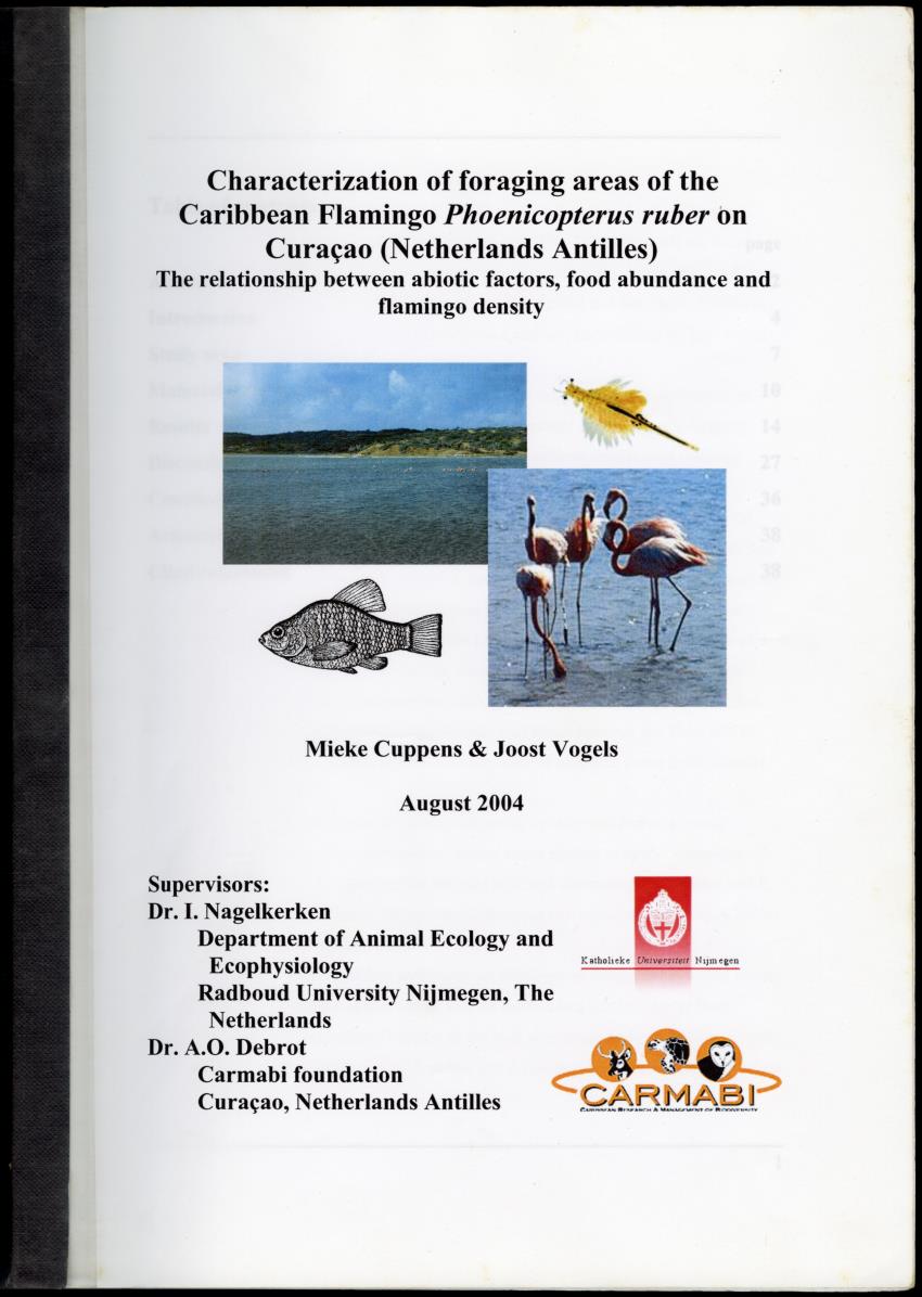 Z Characterization of foraging areas of the Caribbean Flamingo Phoenicopterus ruber on Curacao (Netherlands Antilles) - New Page