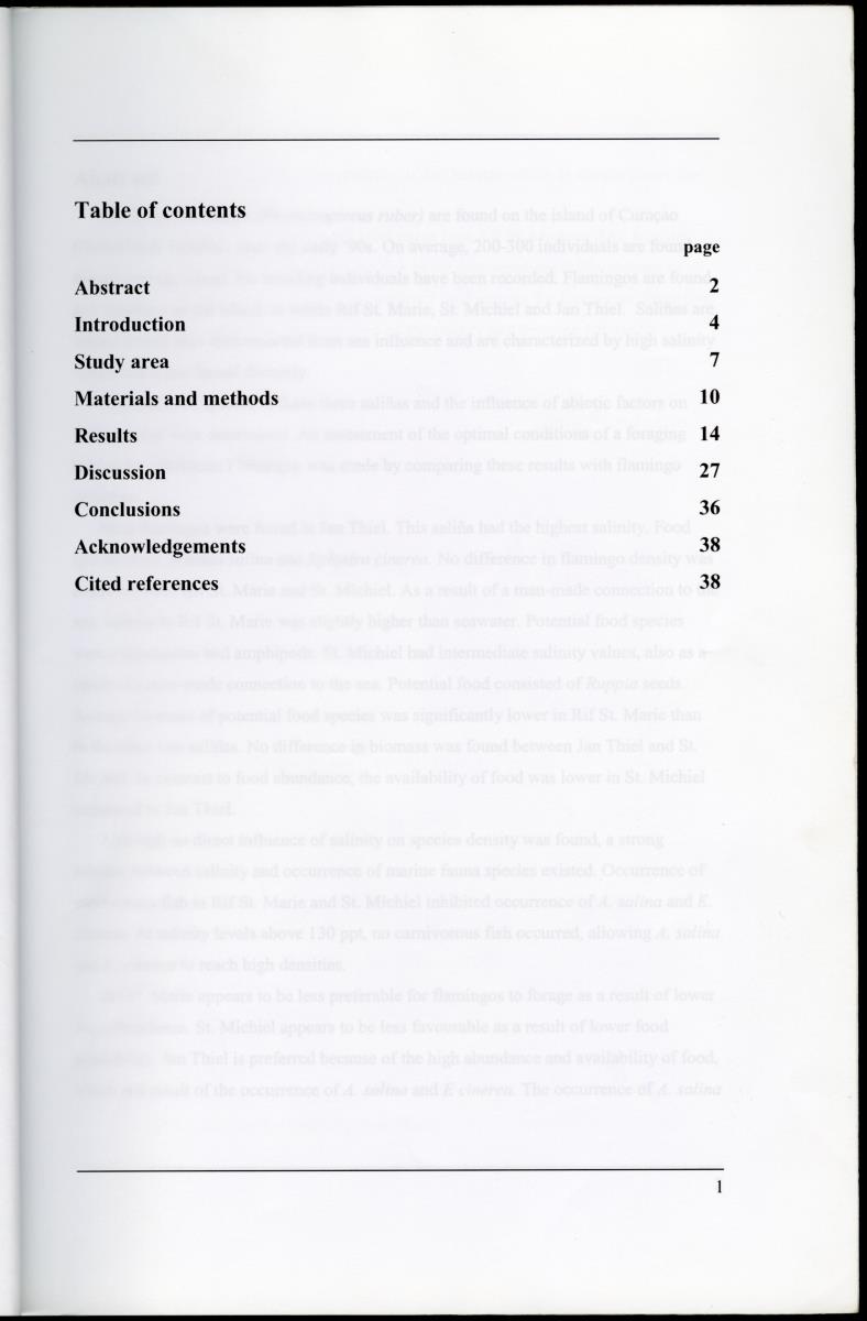Z Characterization of foraging areas of the Caribbean Flamingo Phoenicopterus ruber on Curacao (Netherlands Antilles) - New Page