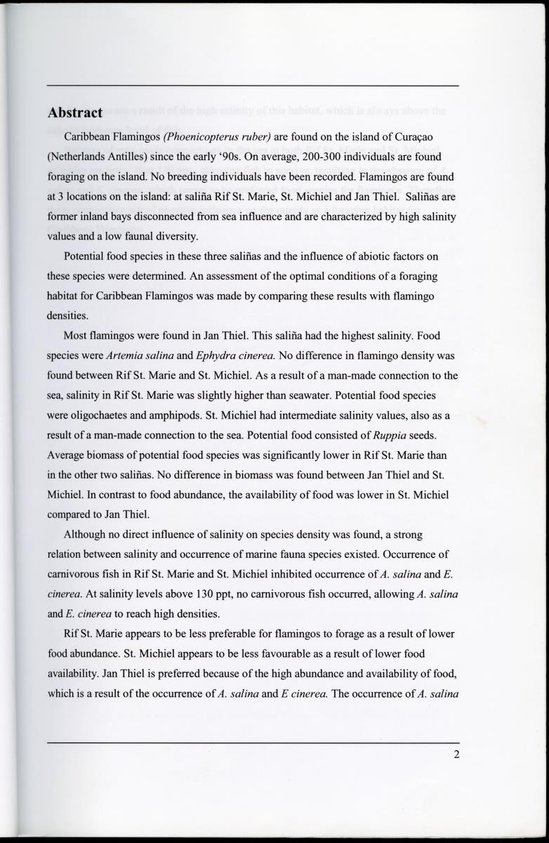 Z Characterization of foraging areas of the Caribbean Flamingo Phoenicopterus ruber on Curacao (Netherlands Antilles) - New Page