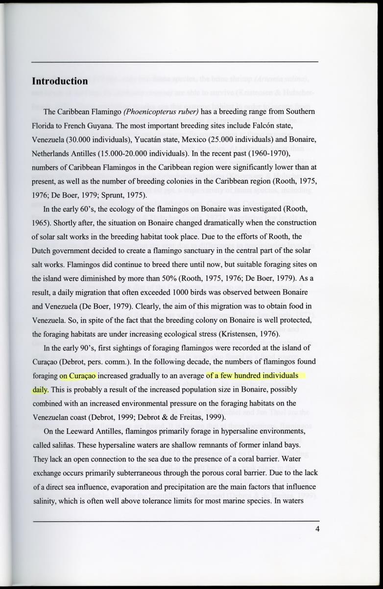 Z Characterization of foraging areas of the Caribbean Flamingo Phoenicopterus ruber on Curacao (Netherlands Antilles) - New Page