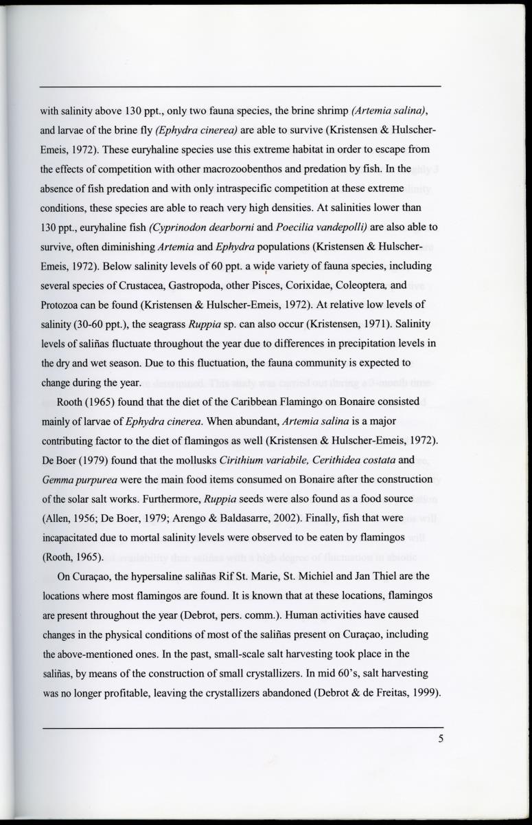 Z Characterization of foraging areas of the Caribbean Flamingo Phoenicopterus ruber on Curacao (Netherlands Antilles) - New Page