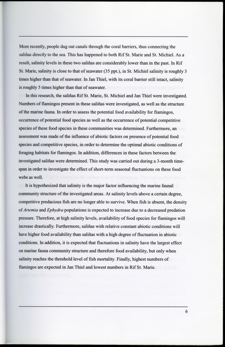 Z Characterization of foraging areas of the Caribbean Flamingo Phoenicopterus ruber on Curacao (Netherlands Antilles) - New Page