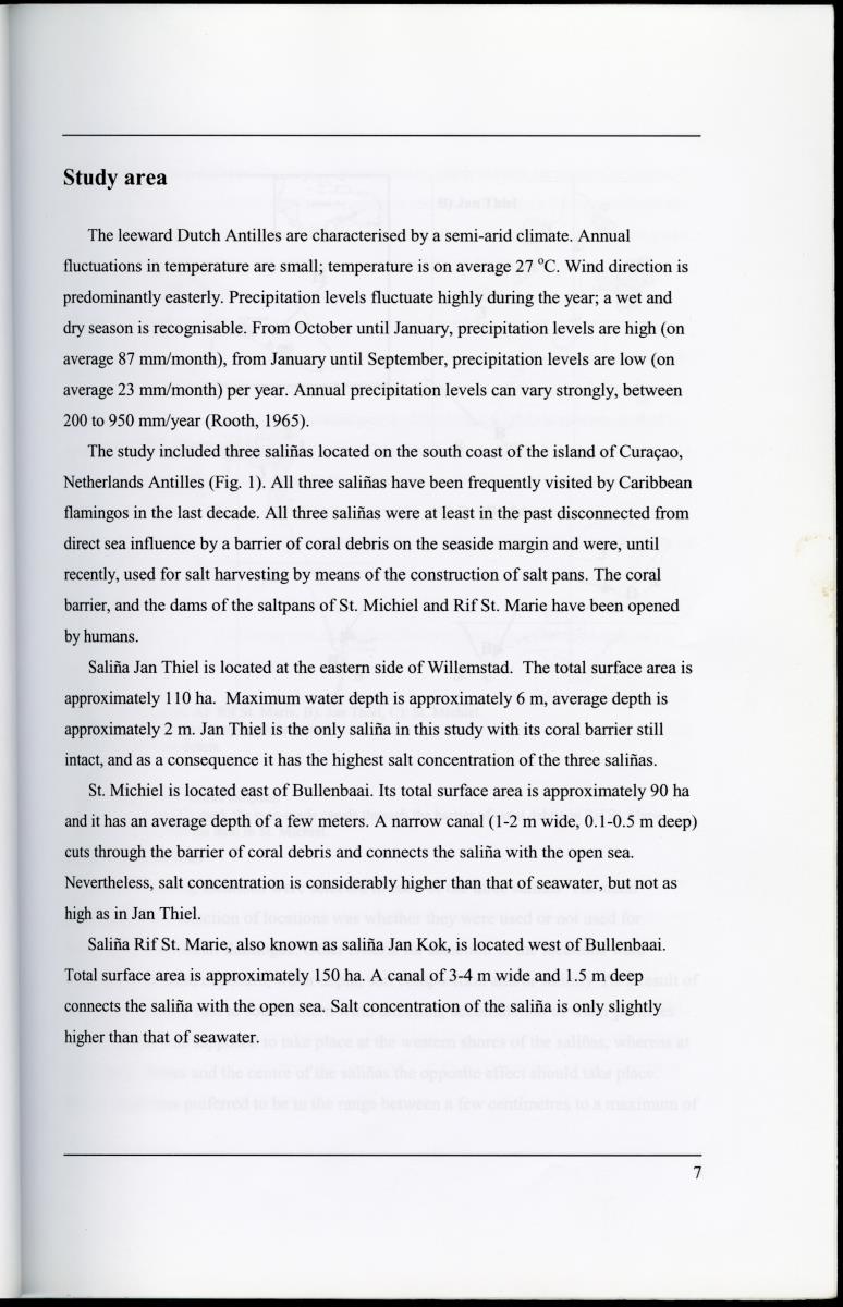 Z Characterization of foraging areas of the Caribbean Flamingo Phoenicopterus ruber on Curacao (Netherlands Antilles) - New Page