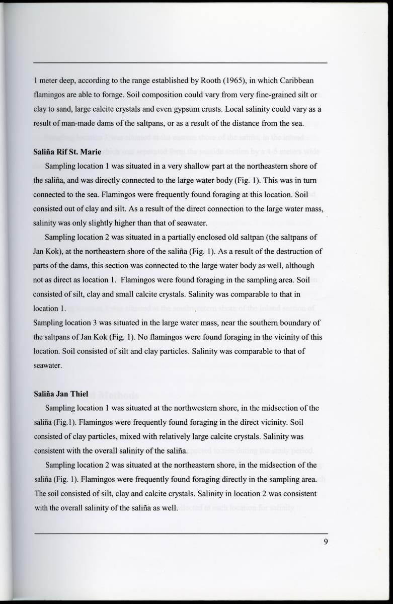 Z Characterization of foraging areas of the Caribbean Flamingo Phoenicopterus ruber on Curacao (Netherlands Antilles) - New Page