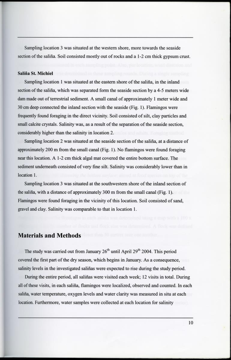 Z Characterization of foraging areas of the Caribbean Flamingo Phoenicopterus ruber on Curacao (Netherlands Antilles) - New Page