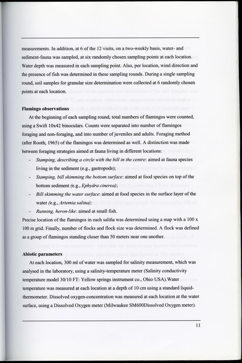 Z Characterization of foraging areas of the Caribbean Flamingo Phoenicopterus ruber on Curacao (Netherlands Antilles) - New Page