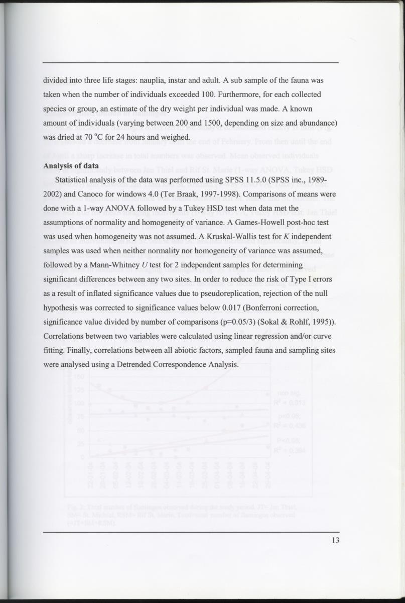 Z Characterization of foraging areas of the Caribbean Flamingo Phoenicopterus ruber on Curacao (Netherlands Antilles) - New Page