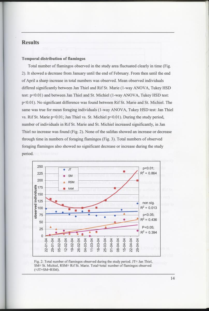 Z Characterization of foraging areas of the Caribbean Flamingo Phoenicopterus ruber on Curacao (Netherlands Antilles) - New Page