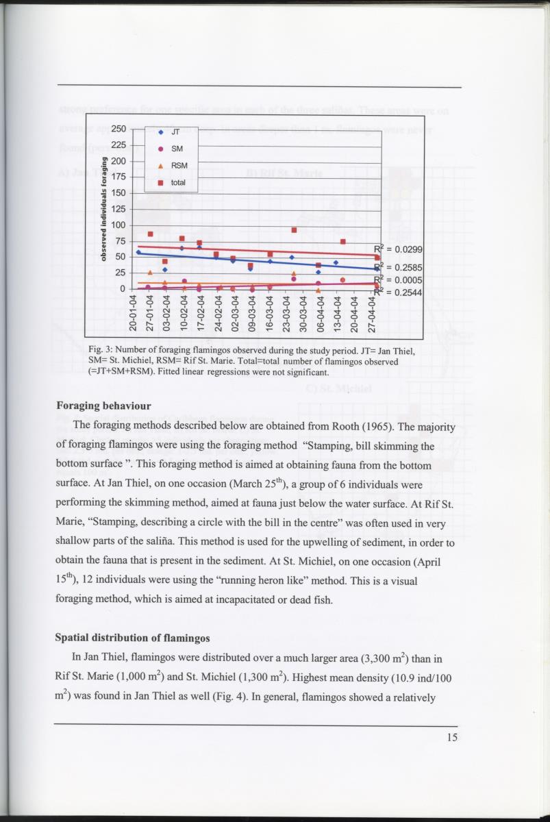 Z Characterization of foraging areas of the Caribbean Flamingo Phoenicopterus ruber on Curacao (Netherlands Antilles) - New Page