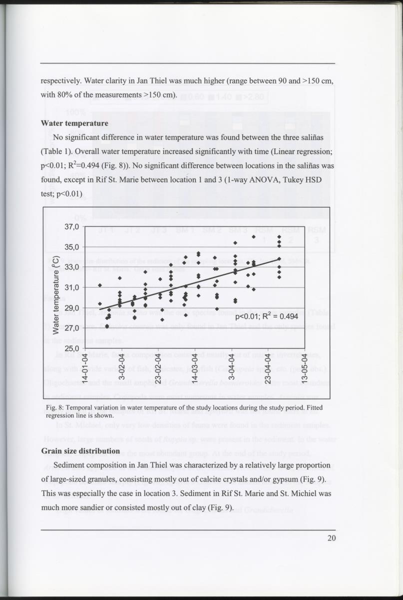 Z Characterization of foraging areas of the Caribbean Flamingo Phoenicopterus ruber on Curacao (Netherlands Antilles) - New Page