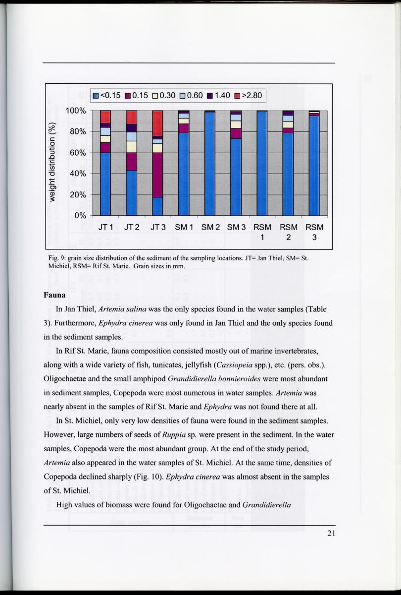 Z Characterization of foraging areas of the Caribbean Flamingo Phoenicopterus ruber on Curacao (Netherlands Antilles) - New Page