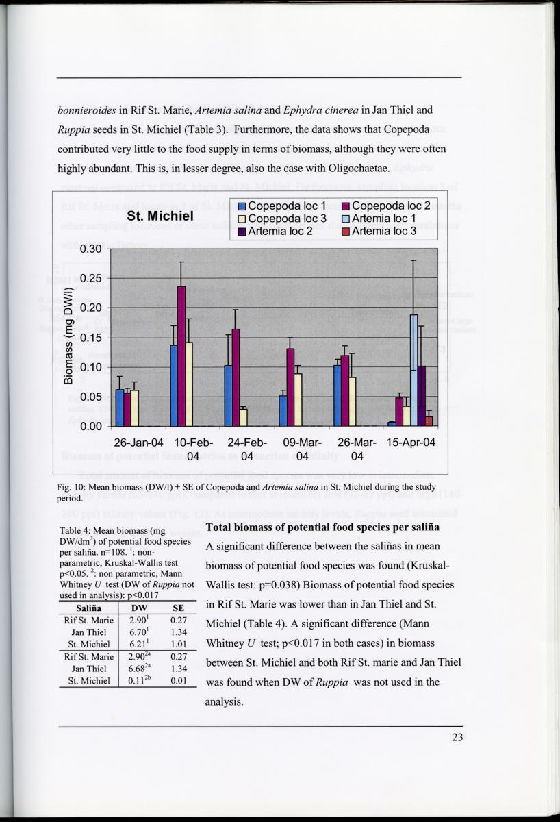 Z Characterization of foraging areas of the Caribbean Flamingo Phoenicopterus ruber on Curacao (Netherlands Antilles) - New Page