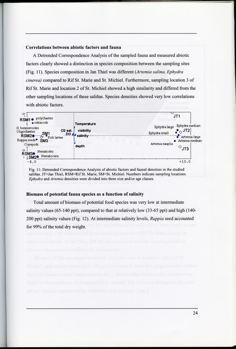 Z Characterization of foraging areas of the Caribbean Flamingo Phoenicopterus ruber on Curacao (Netherlands Antilles) - New Page