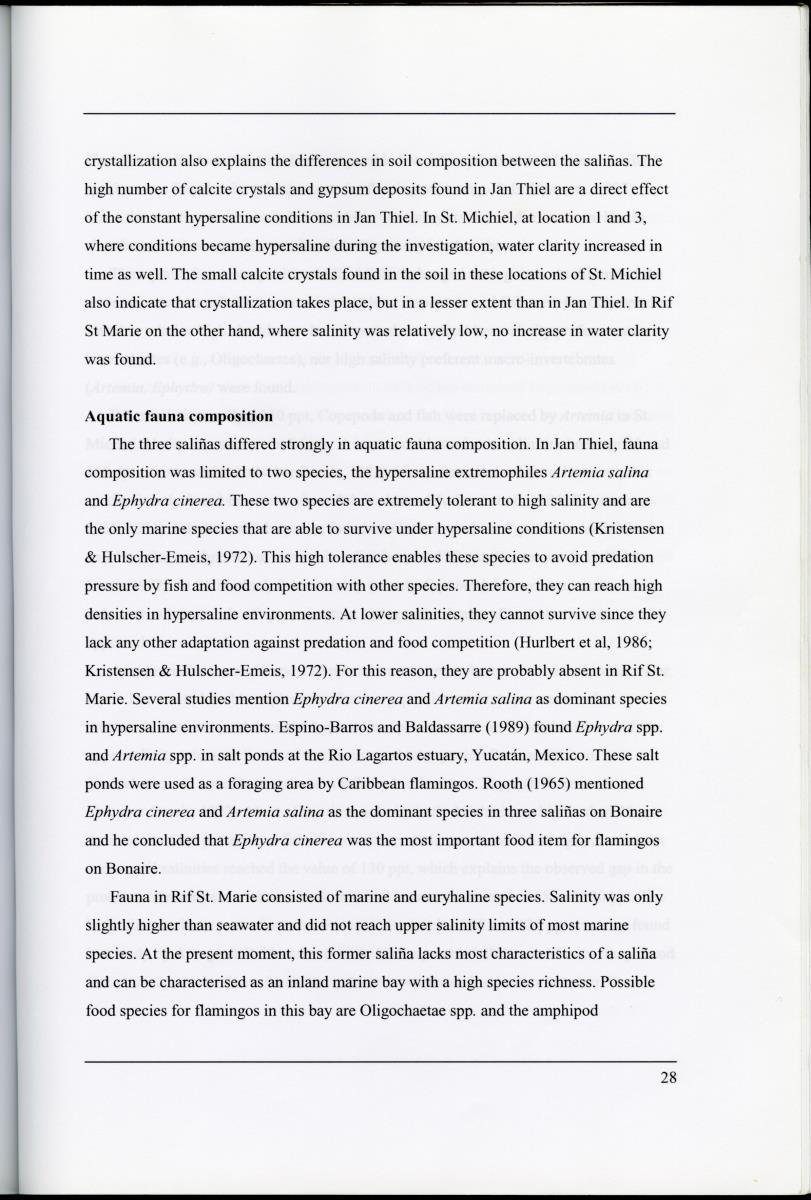 Z Characterization of foraging areas of the Caribbean Flamingo Phoenicopterus ruber on Curacao (Netherlands Antilles) - New Page