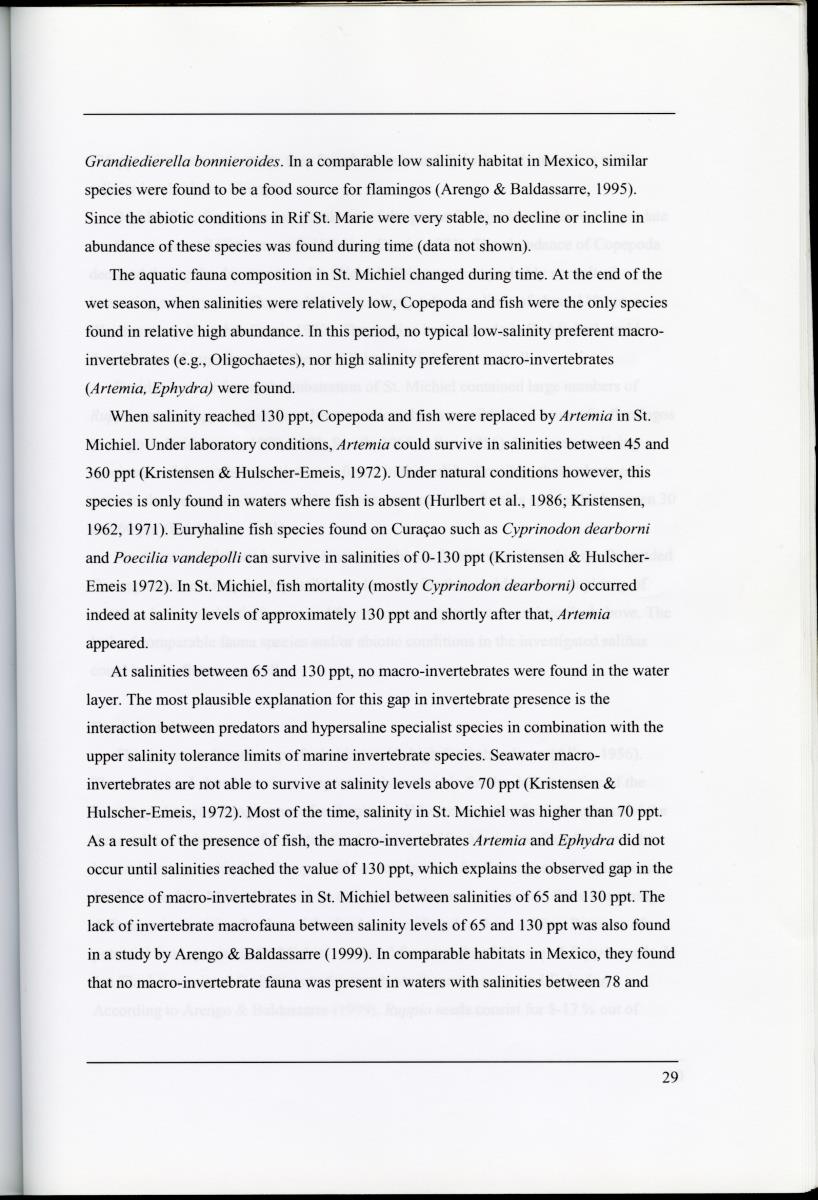 Z Characterization of foraging areas of the Caribbean Flamingo Phoenicopterus ruber on Curacao (Netherlands Antilles) - New Page