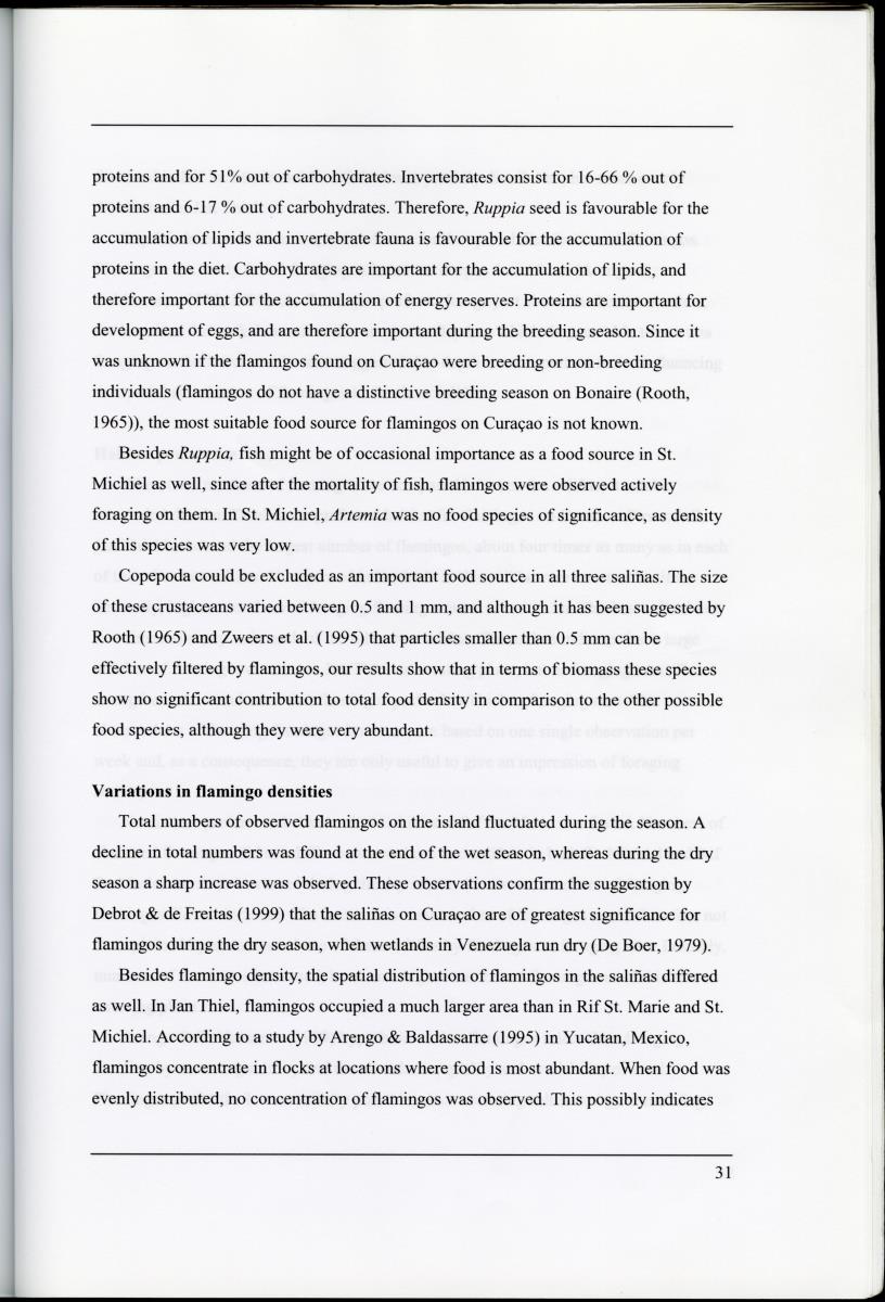 Z Characterization of foraging areas of the Caribbean Flamingo Phoenicopterus ruber on Curacao (Netherlands Antilles) - New Page