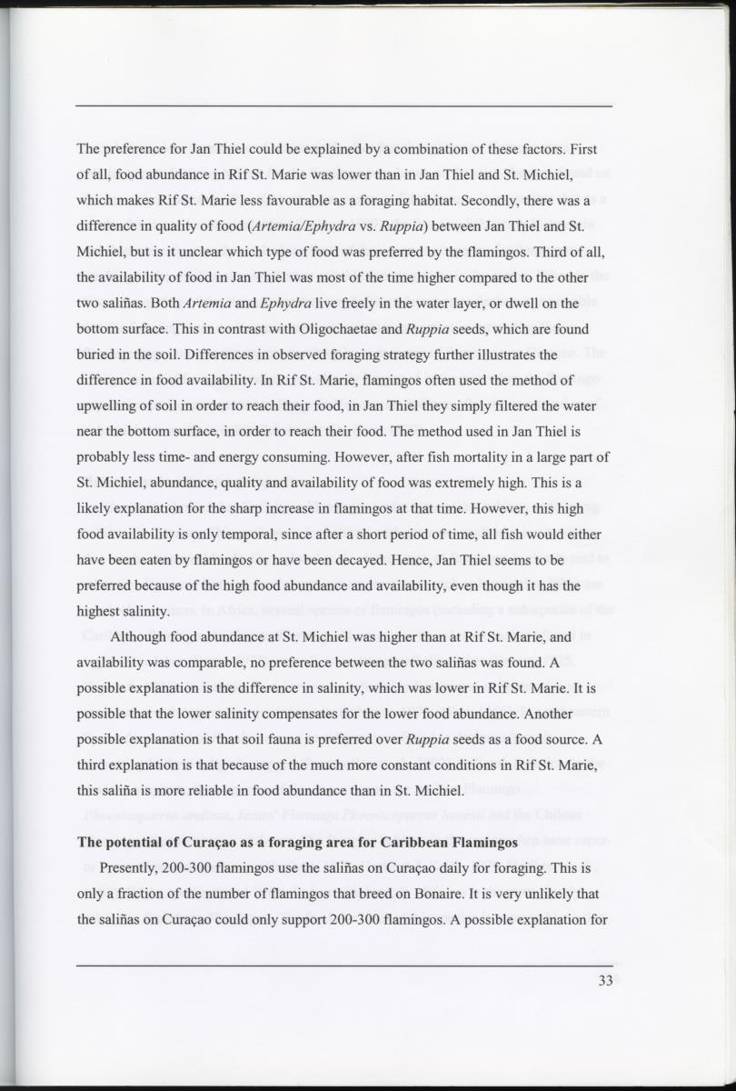 Z Characterization of foraging areas of the Caribbean Flamingo Phoenicopterus ruber on Curacao (Netherlands Antilles) - New Page