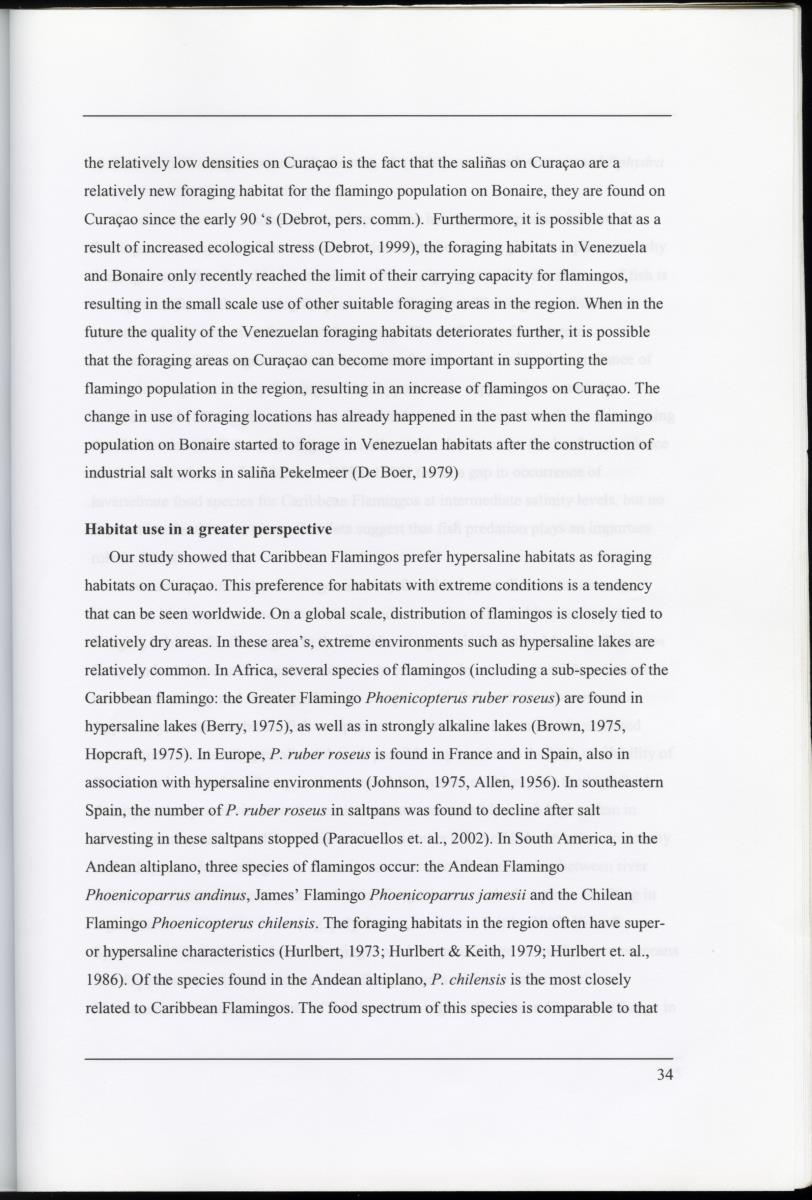 Z Characterization of foraging areas of the Caribbean Flamingo Phoenicopterus ruber on Curacao (Netherlands Antilles) - New Page
