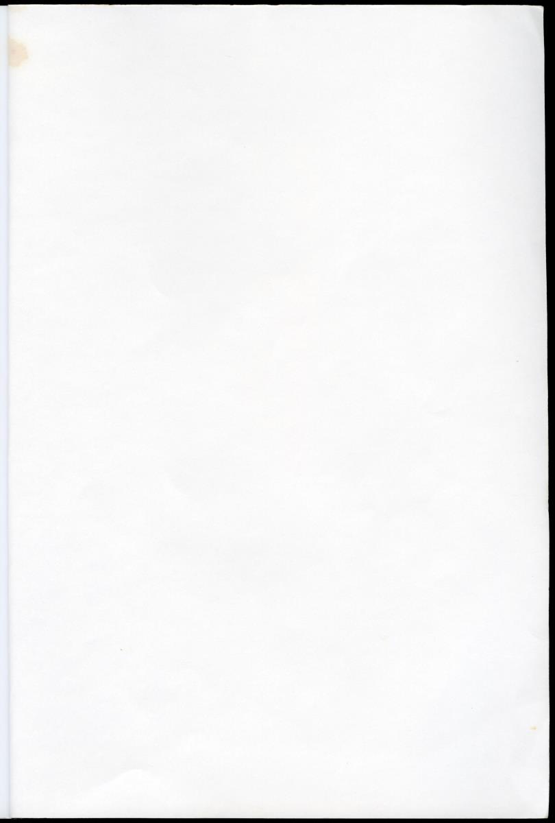 Z Characterization of foraging areas of the Caribbean Flamingo Phoenicopterus ruber on Curacao (Netherlands Antilles) - New Page