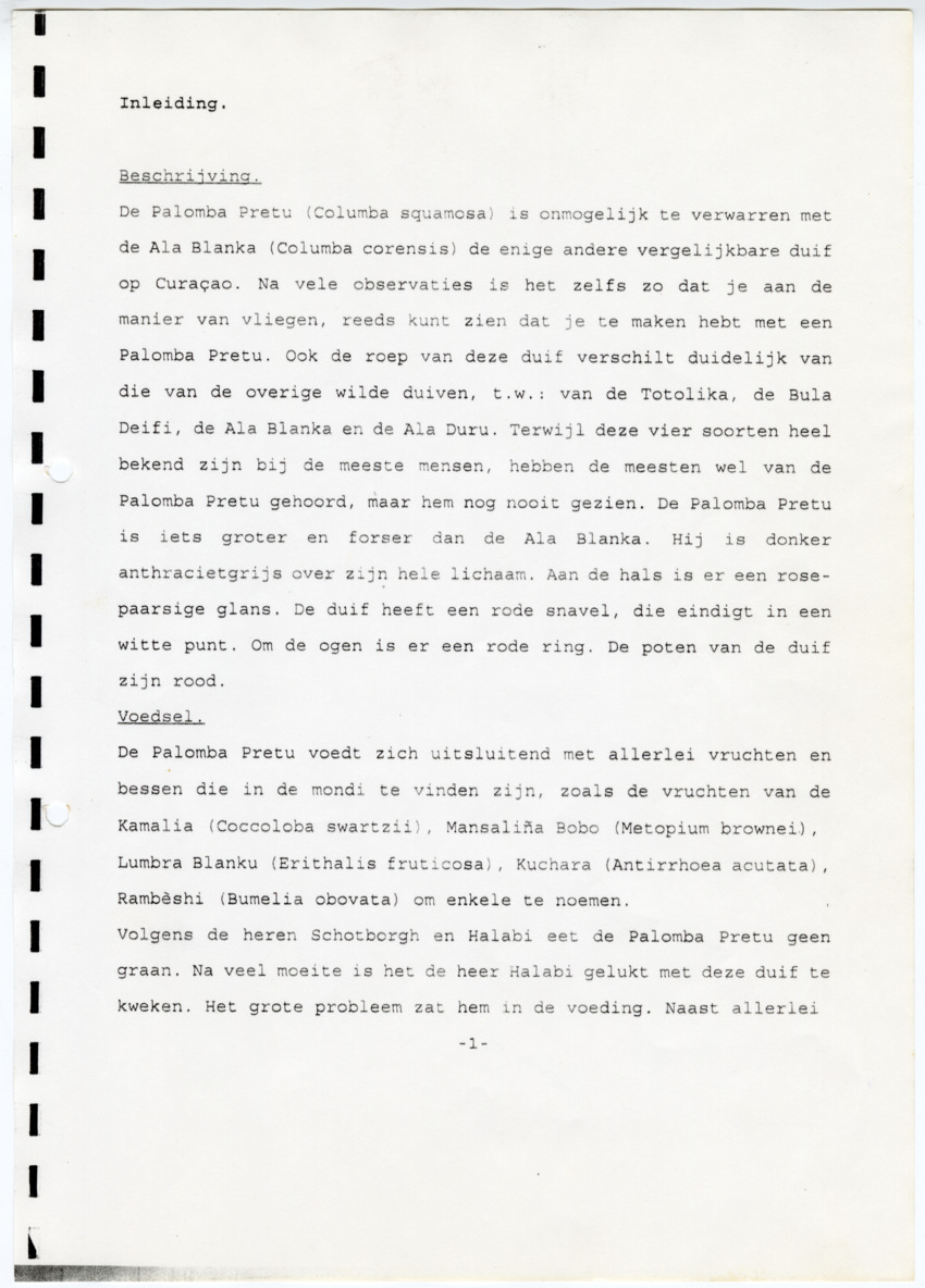 Z  Tellingen van de Palomba Pretu - Columba squamosa - New Page