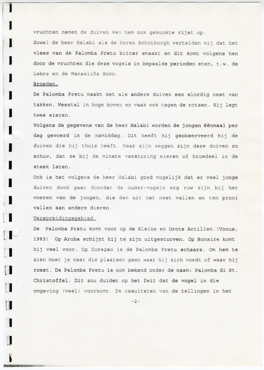 Z  Tellingen van de Palomba Pretu - Columba squamosa - New Page