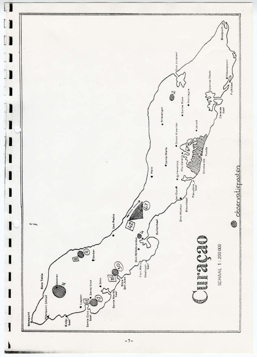Z  Tellingen van de Palomba Pretu - Columba squamosa - New Page