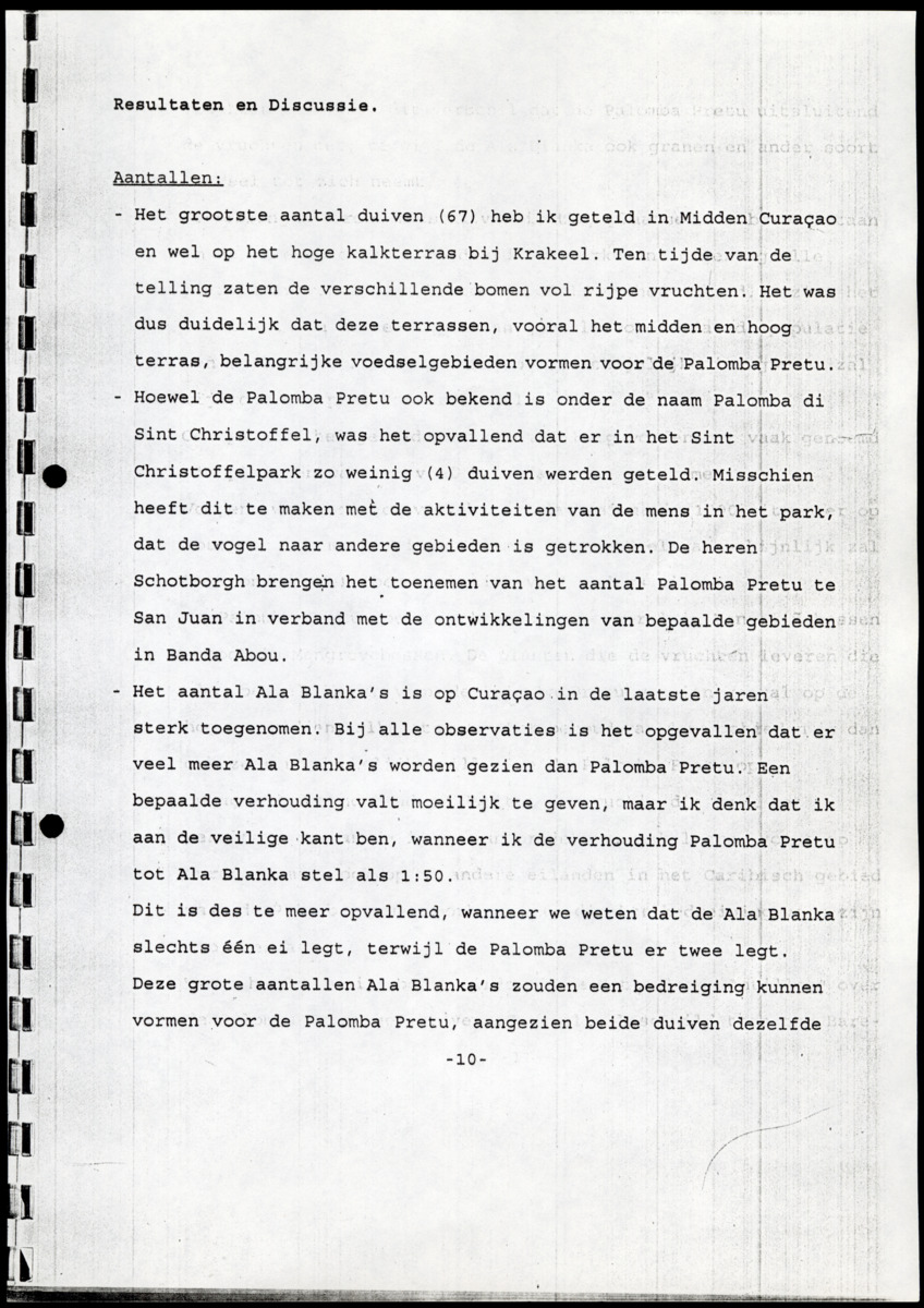 Z  Tellingen van de Palomba Pretu - Columba squamosa - New Page