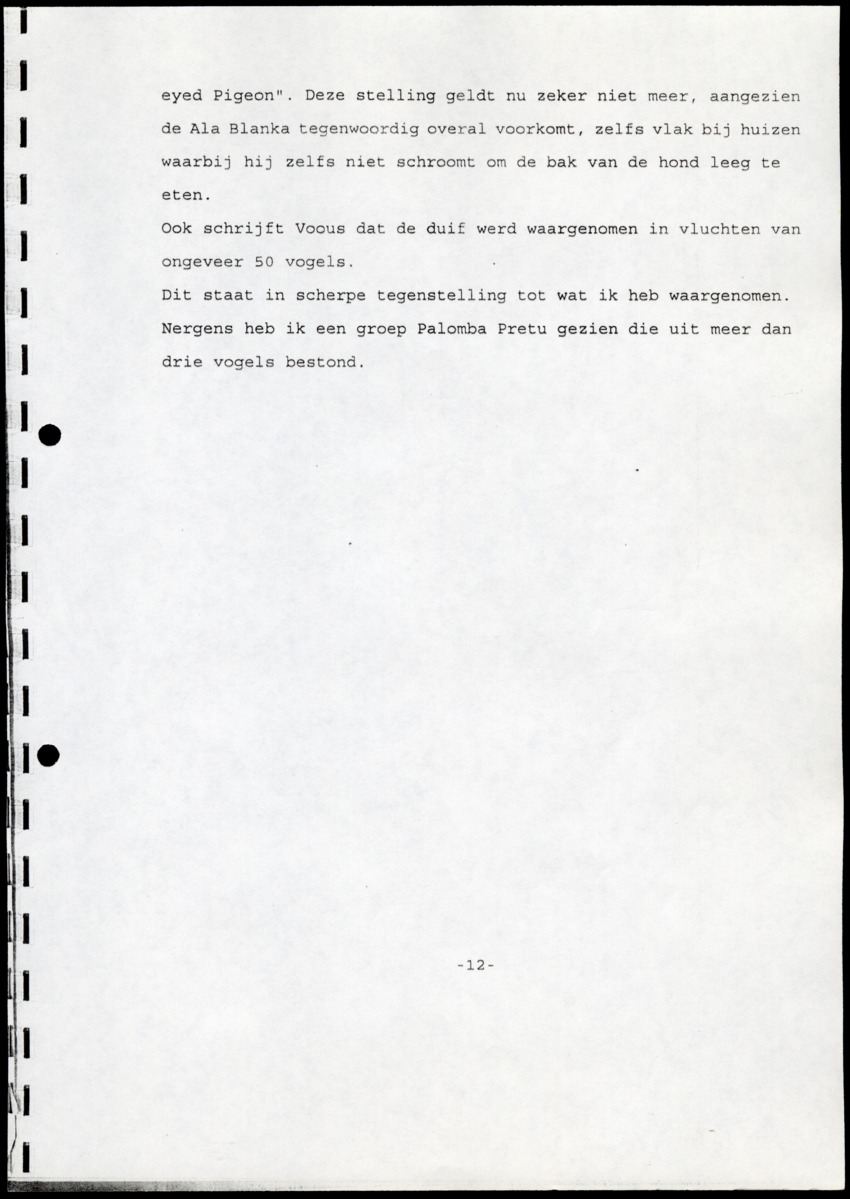 Z  Tellingen van de Palomba Pretu - Columba squamosa - New Page