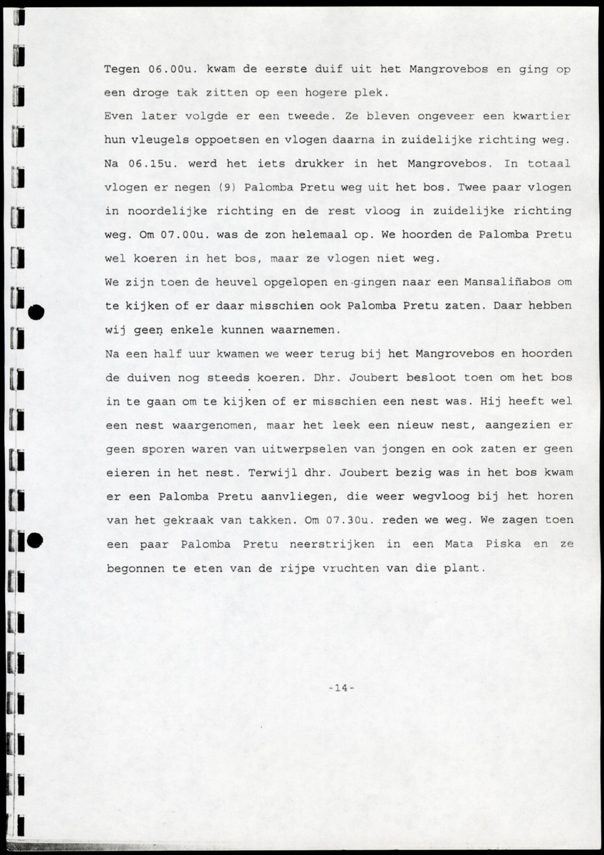 Z  Tellingen van de Palomba Pretu - Columba squamosa - New Page