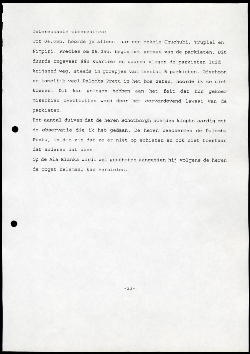 Z  Tellingen van de Palomba Pretu - Columba squamosa - New Page