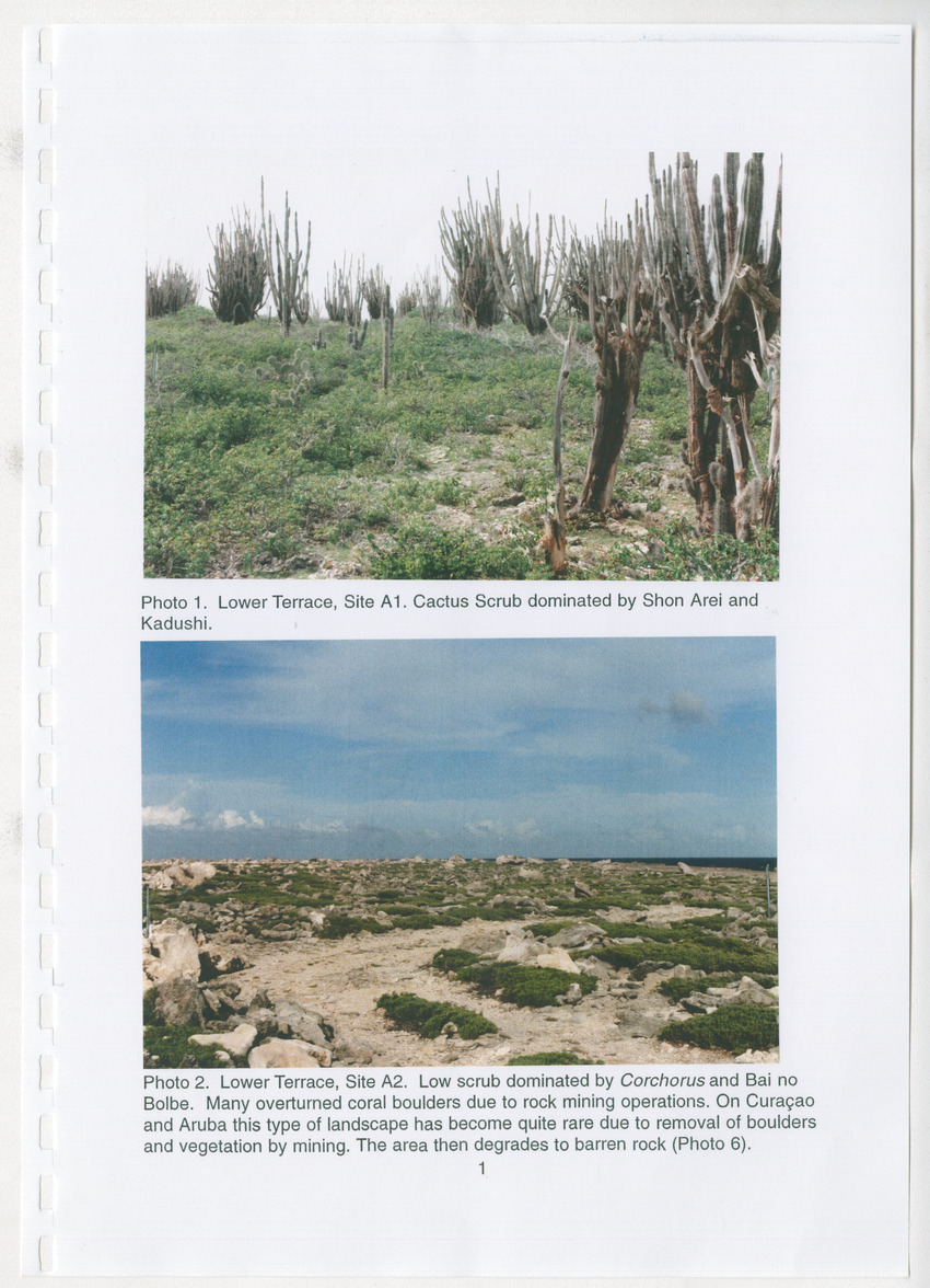 Z Brief Biological Inventory of Bolivia, Bonaire, Netherlands Antilles - New Page