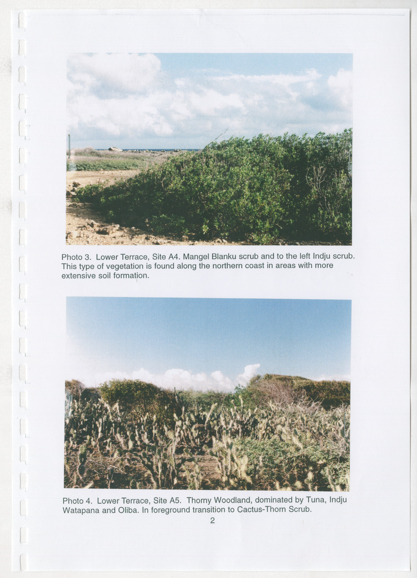Z Brief Biological Inventory of Bolivia, Bonaire, Netherlands Antilles - New Page