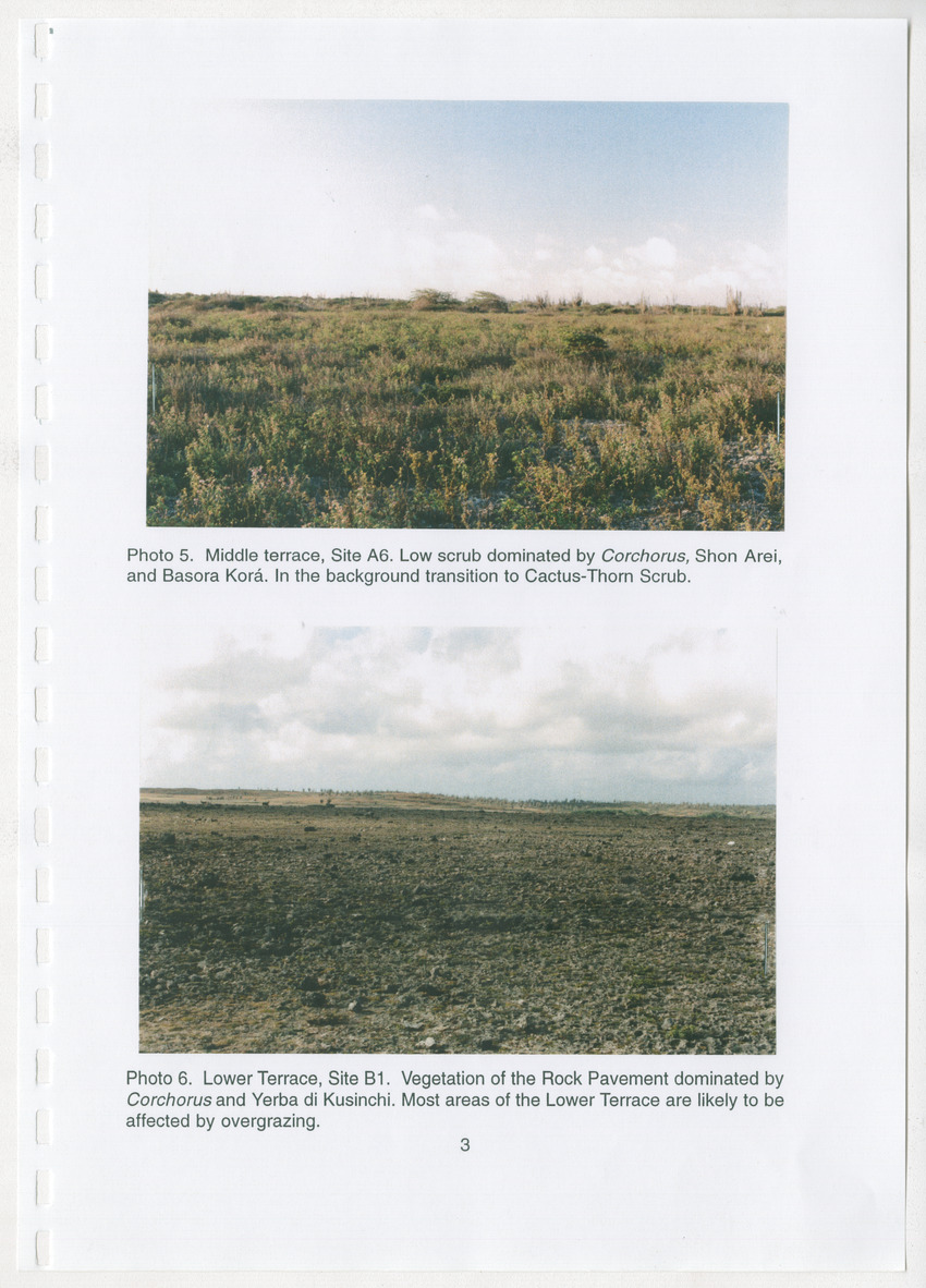 Z Brief Biological Inventory of Bolivia, Bonaire, Netherlands Antilles - New Page