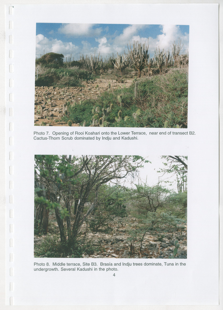 Z Brief Biological Inventory of Bolivia, Bonaire, Netherlands Antilles - New Page