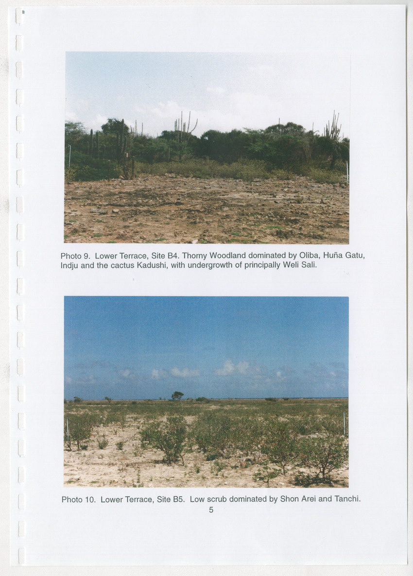 Z Brief Biological Inventory of Bolivia, Bonaire, Netherlands Antilles - New Page