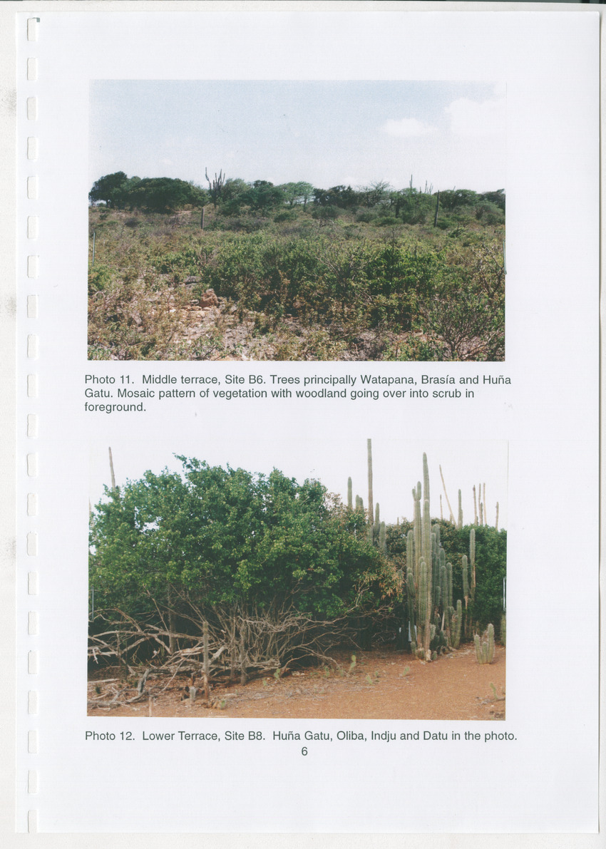 Z Brief Biological Inventory of Bolivia, Bonaire, Netherlands Antilles - New Page