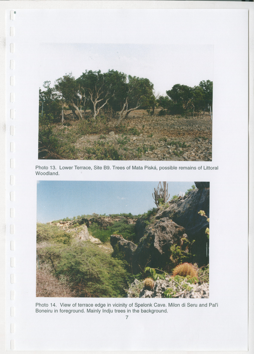 Z Brief Biological Inventory of Bolivia, Bonaire, Netherlands Antilles - New Page