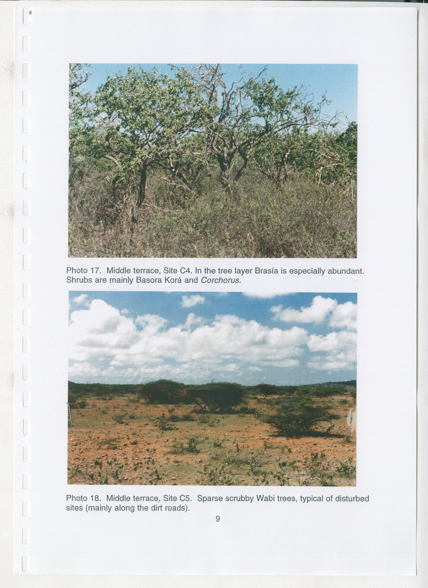 Z Brief Biological Inventory of Bolivia, Bonaire, Netherlands Antilles - New Page