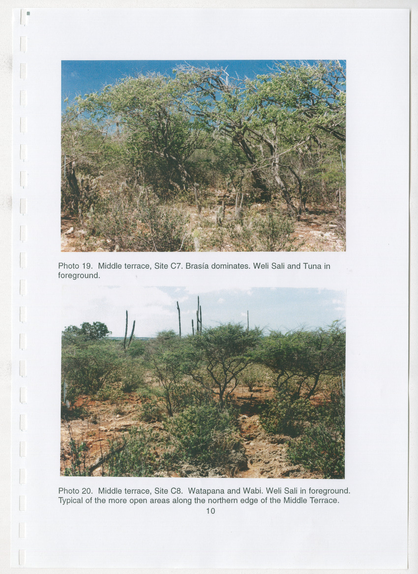 Z Brief Biological Inventory of Bolivia, Bonaire, Netherlands Antilles - New Page
