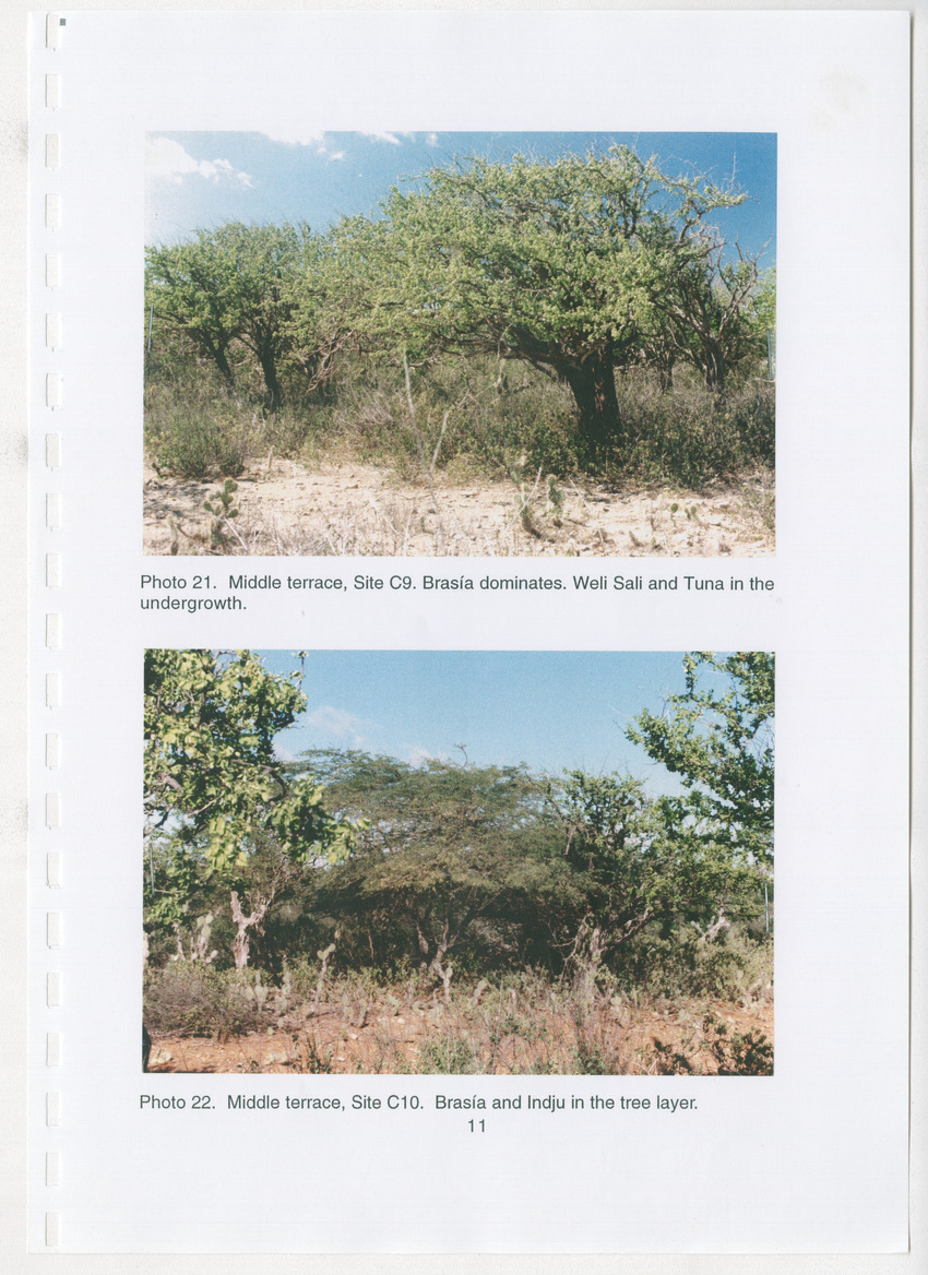 Z Brief Biological Inventory of Bolivia, Bonaire, Netherlands Antilles - New Page