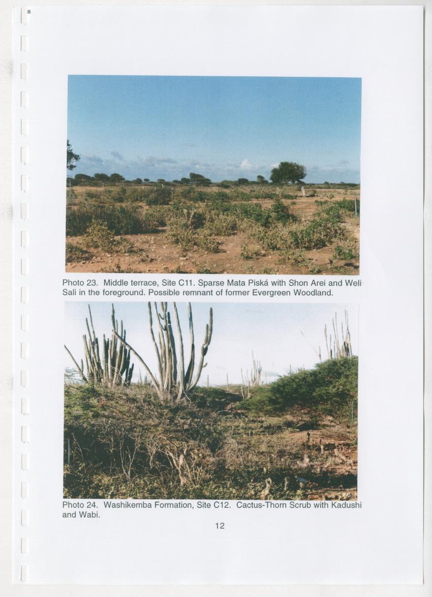 Z Brief Biological Inventory of Bolivia, Bonaire, Netherlands Antilles - New Page