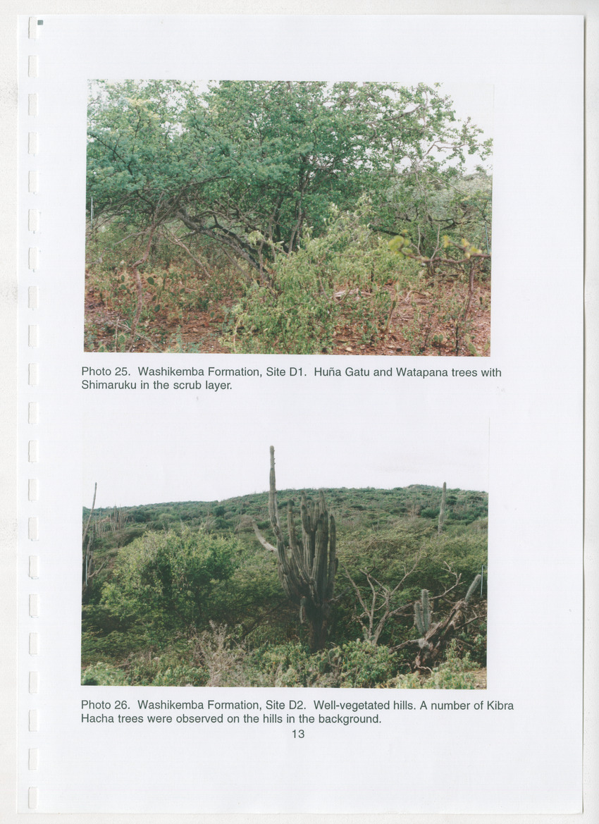 Z Brief Biological Inventory of Bolivia, Bonaire, Netherlands Antilles - New Page