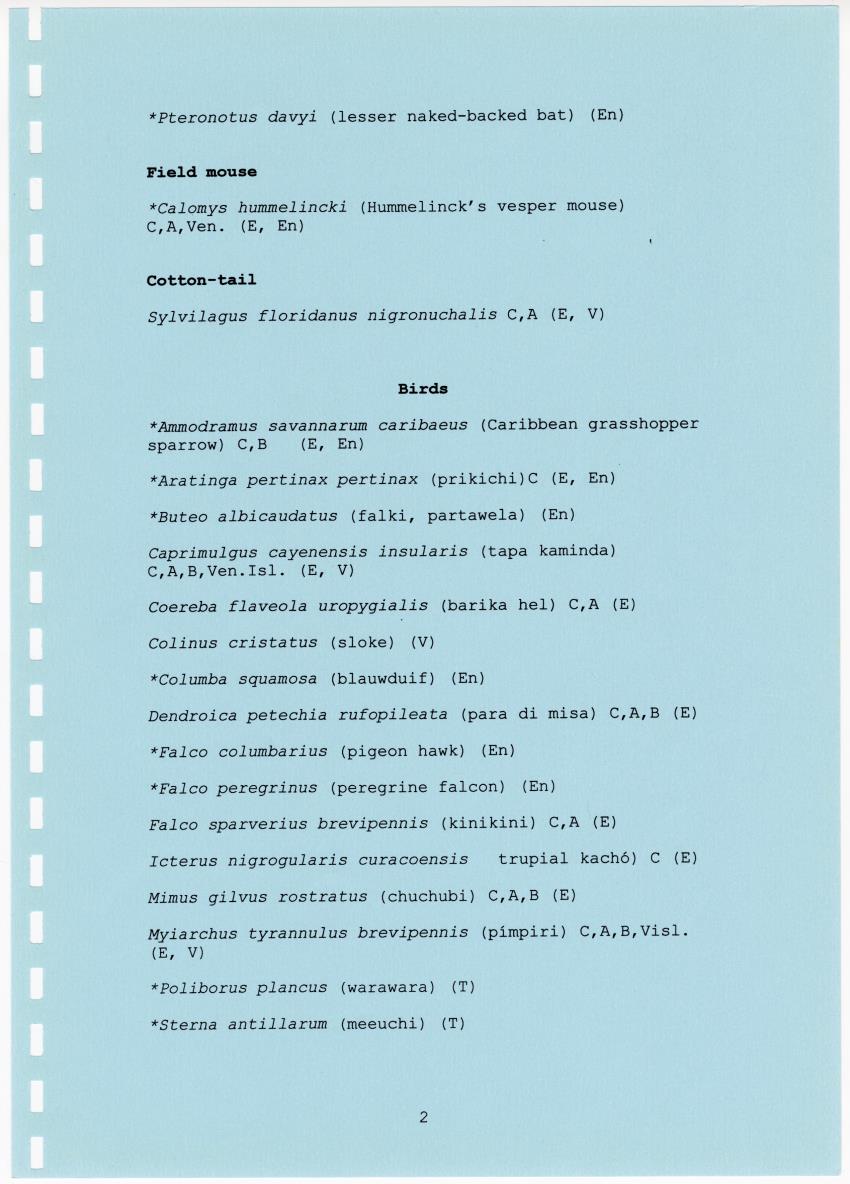 Z Terrassenlandschap van Hato en San Pedro: Inventory report van conserveringswaarden en bibliografie - New Page