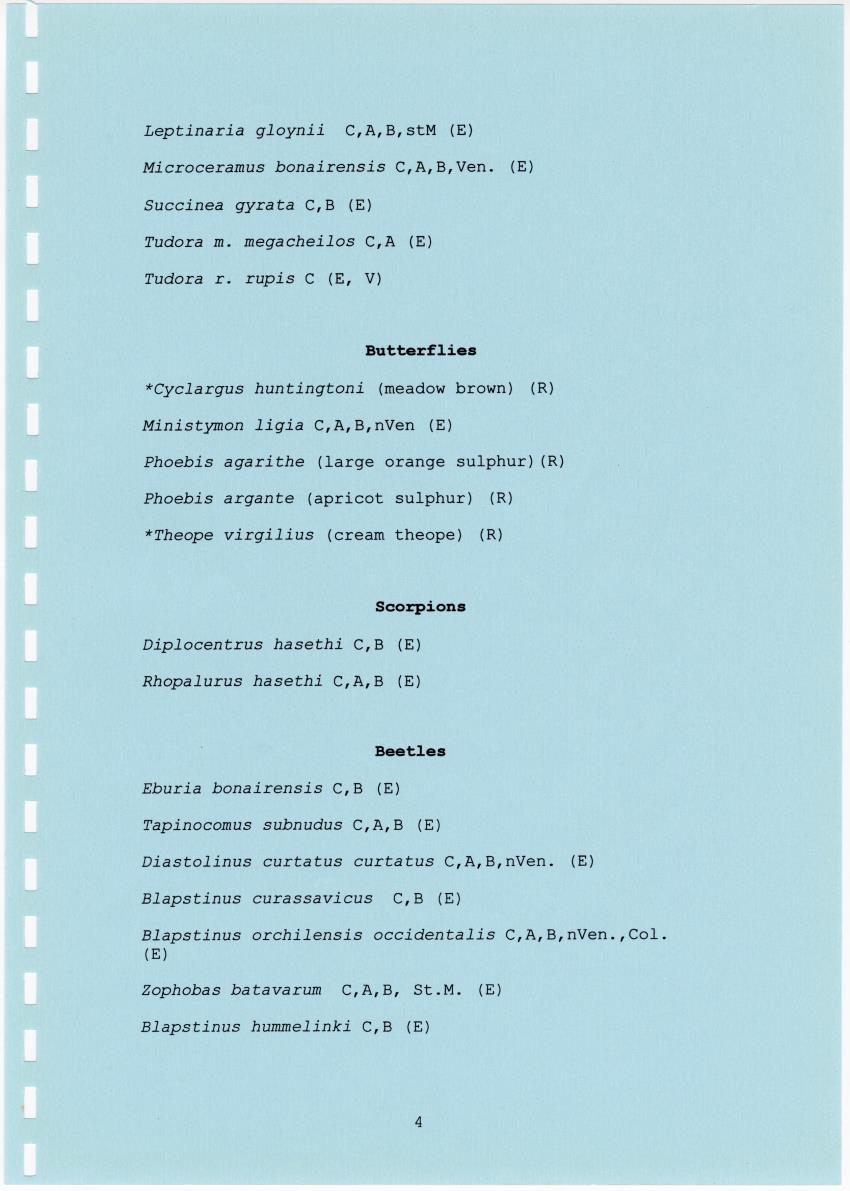 Z Terrassenlandschap van Hato en San Pedro: Inventory report van conserveringswaarden en bibliografie - New Page