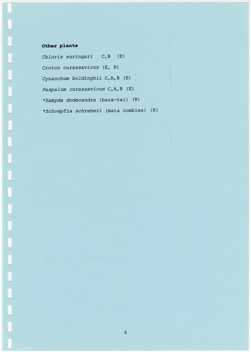Z Terrassenlandschap van Hato en San Pedro: Inventory report van conserveringswaarden en bibliografie - New Page