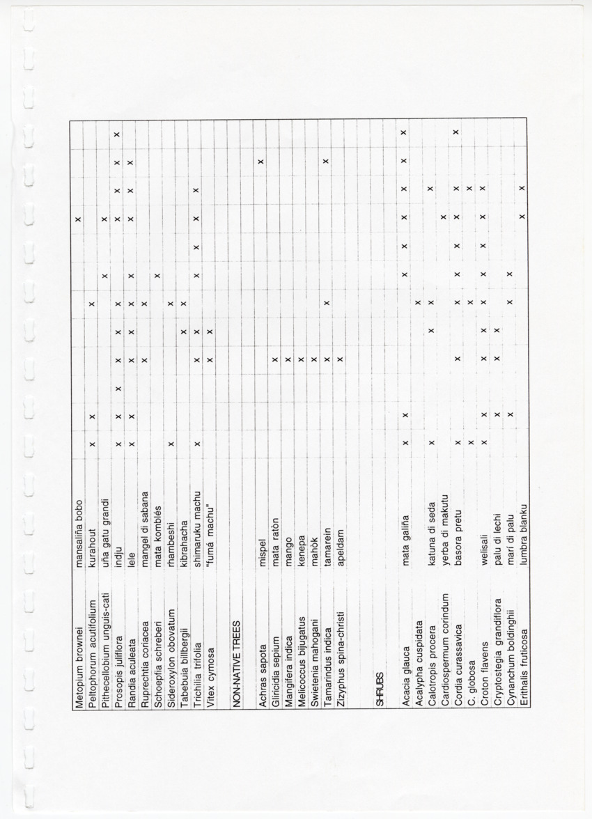Z Avifaunal and Botanical Survey of the Jan Thiel Lagoon Conservation Area, Curacao - New Page