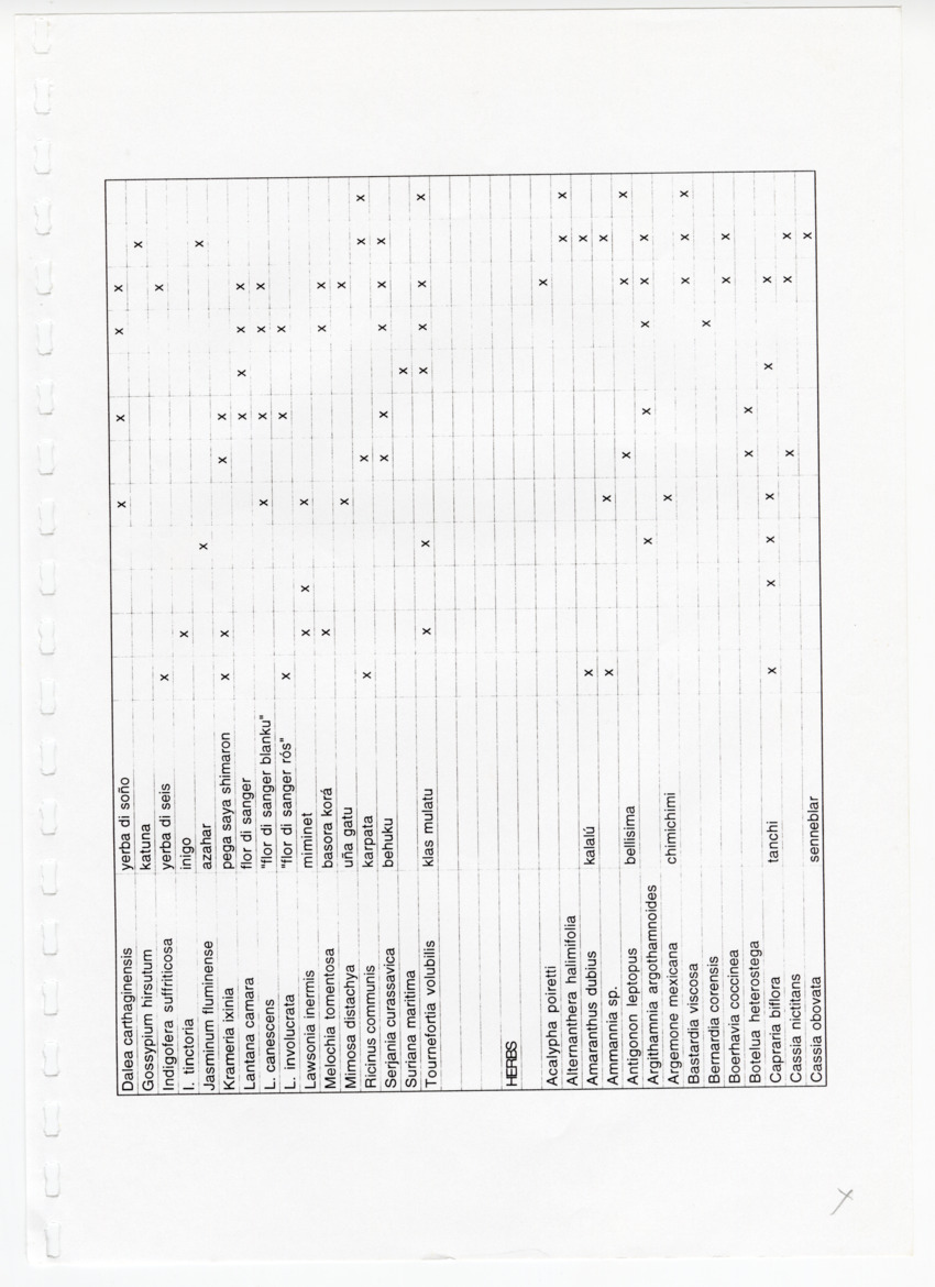 Z Avifaunal and Botanical Survey of the Jan Thiel Lagoon Conservation Area, Curacao - New Page