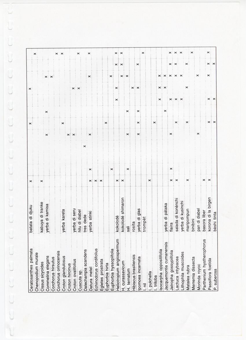 Z Avifaunal and Botanical Survey of the Jan Thiel Lagoon Conservation Area, Curacao - New Page